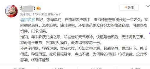 娱乐吃瓜酱文言文怎么说,吃瓜酱文言风副标题解析