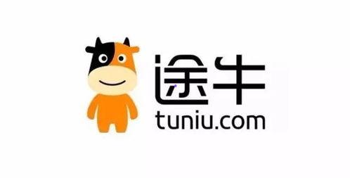 娱乐吃瓜仔er,娱乐圈吃瓜风云录