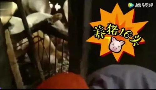 娱乐吃瓜酱变老特效,变老特效背后的科技魅力