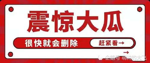 娱乐圈吃瓜合集文件,揭秘明星幕后故事与八卦传闻