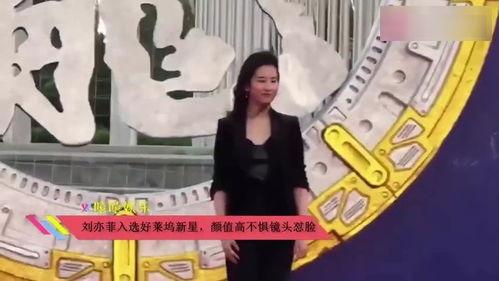 吃瓜鹅娱乐视频,揭秘娱乐圈幕后趣事，带你领略明星日常风采