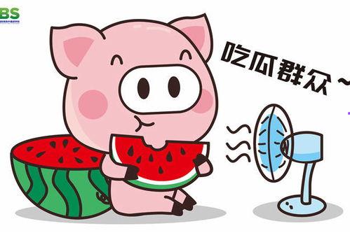 娱乐吃瓜酱朵拉,娱乐界的“瓜王”朵拉带你领略娱乐圈风云变幻