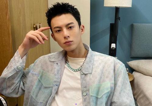 明星娱乐圈吃瓜王鹤棣,娱乐圈吃瓜王，揭秘明星幕后故事