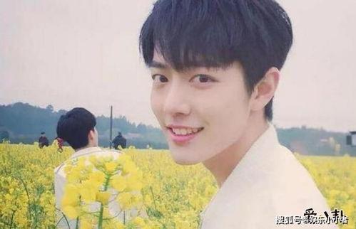 娱乐圈吃瓜cp博君一肖,娱乐圈的甜蜜瓜田，CP互动引粉丝狂欢