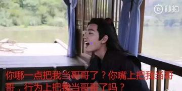 在娱乐圈在线吃瓜小说,瓜田里的秘密风云录