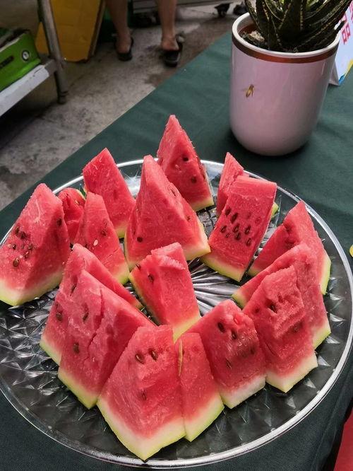 吃瓜娱乐重庆,揭秘重庆美食背后的文化魅力