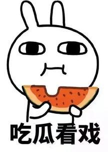 娱乐吃瓜酱梗是什么,网络热词背后的趣味与思考